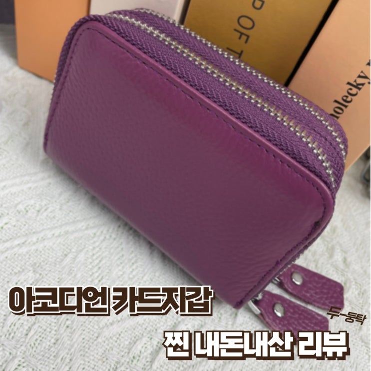  20대 아코디언카드지갑 추천 고급스러운 지퍼형 찐내돈내산 리뷰