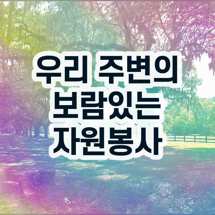  도서관 자원봉사 , 자원봉사지도사 자격증 취득한 정보 총 정리