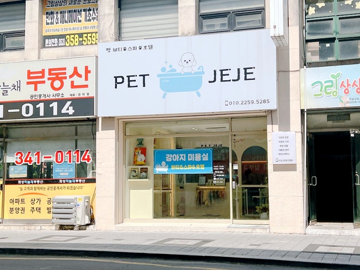  대구 침산동 강아지미용 펫제제