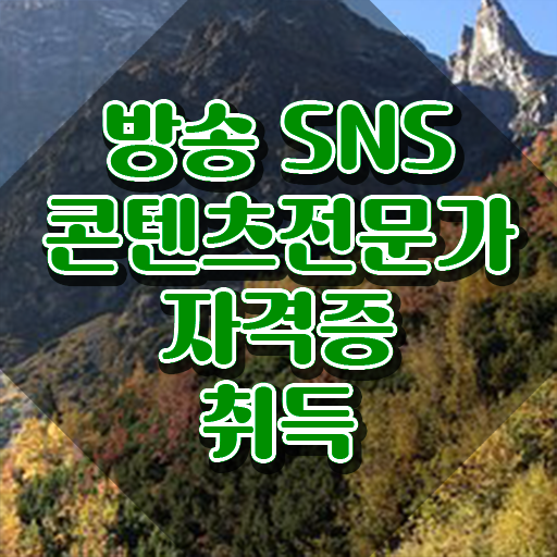  마케팅전문가 , 방송sns콘텐츠전문가 자격증 한달 만에 준비한 과정 및 활용 방법