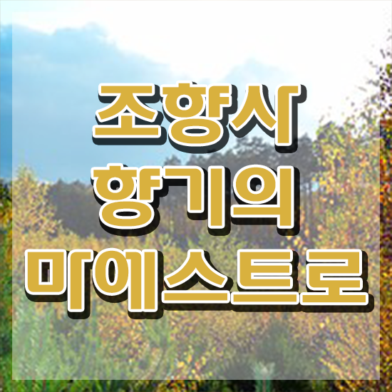  서울숲향수공방 , 조향사자격증 온라인으로 손쉽게 취득한 노하우 확인하세요