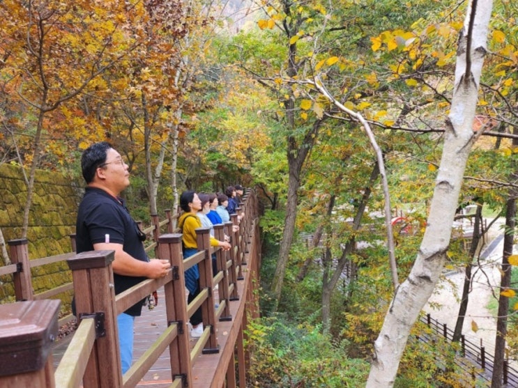  증평군 좌구산숲명상의집, 산림치유 프로그램 개발 노력
