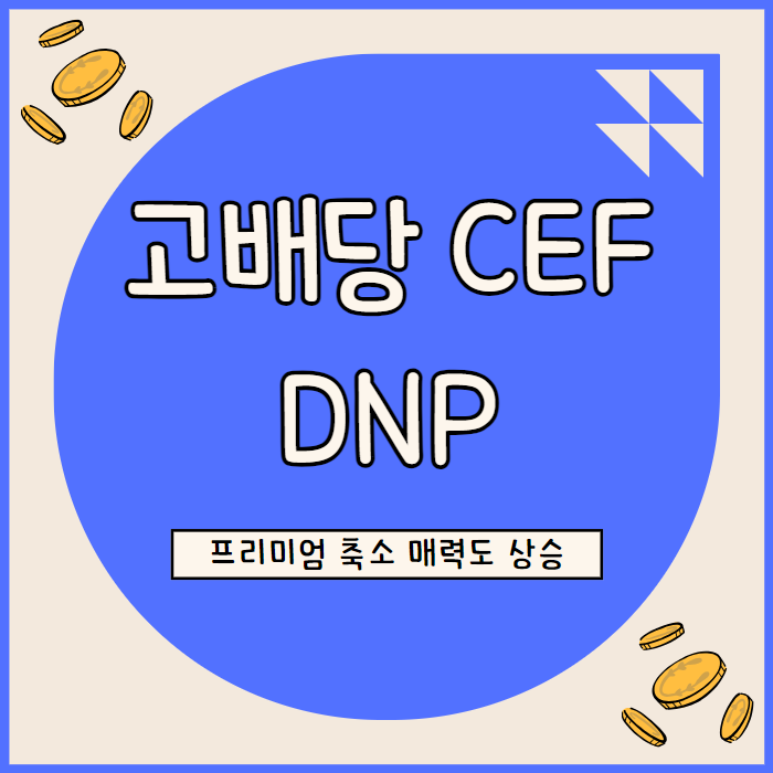  DNP 셀렉트 인컴 펀드, 부진했지만 리스크 축소로 매력 상승