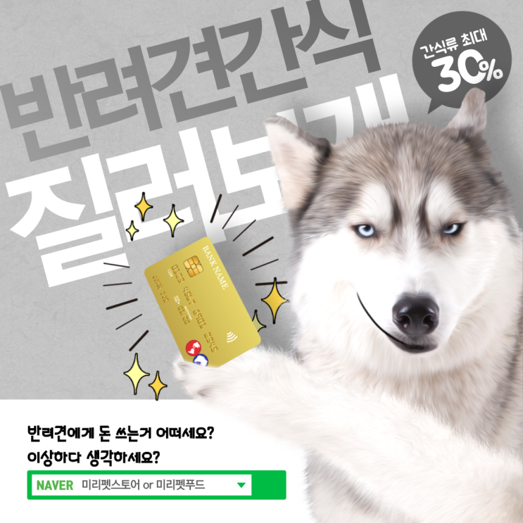  반려견을 키우는 사람들을 위한 교육지침서!