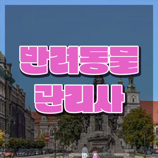  경단녀 , 반려동물관리사 자격증 독학으로 취득했던 후기 및 무료수강 혜택