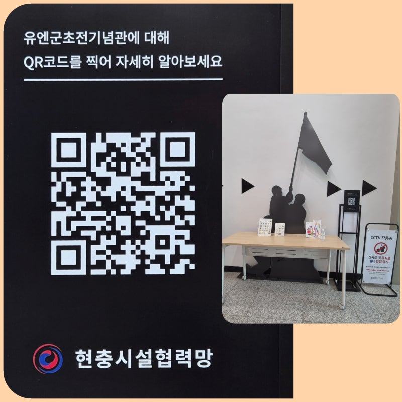 사진 6