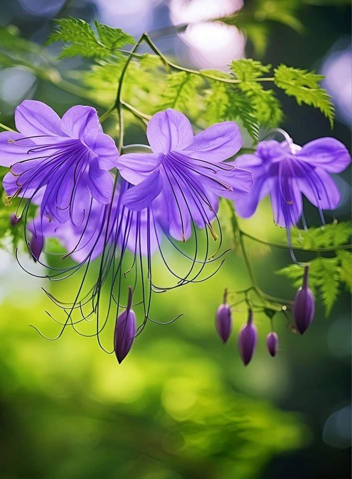   오늘의 생활정보 (2024-06-18, 화)