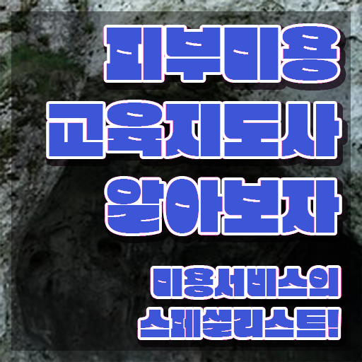  피부미용자격증 시험 , 피부미용교육지도사 자격증 한달 만에 합격정보 요점정리