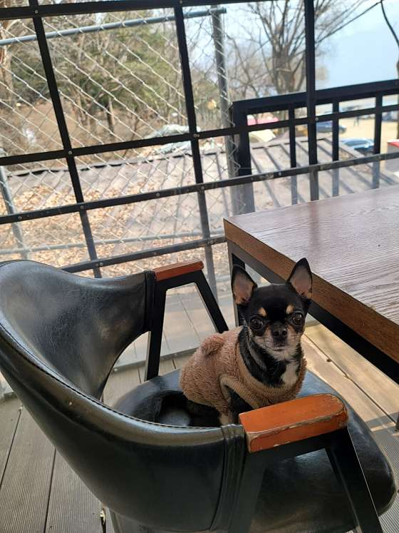 청평산장호텔 레스토랑 사진 3