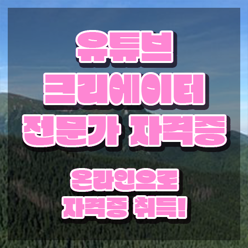  유튜브공부 , 유튜브크리에이터전문가 자격증 2주 만에 합격한 비법 정보 퍼펙트 요약