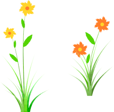  풀꽃(A grass flower)