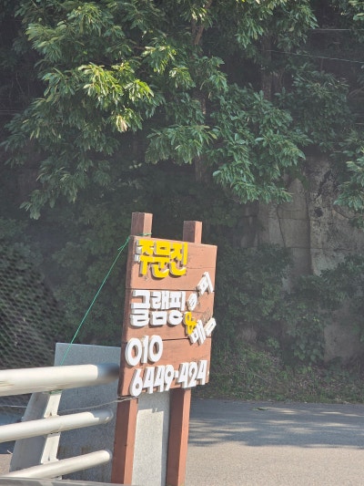사진 2