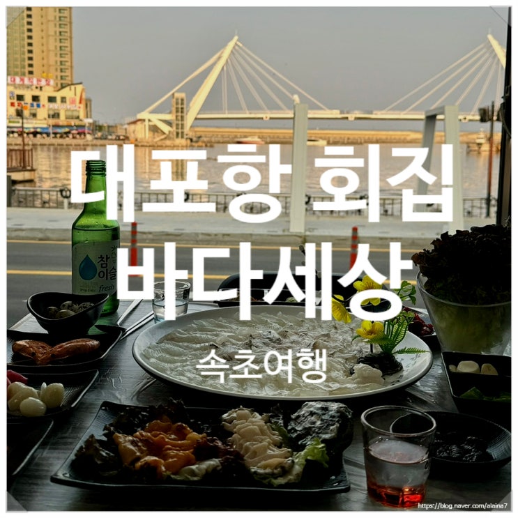  속초 대포항 수산시장 맛집 바다세상 예쁜 오션뷰와 만족스러운 매운탕