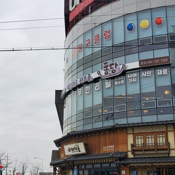  (논산/내동) 12900원에 맘껏 먹을 수 있는 샤브샤브집-퐁당 논산점
