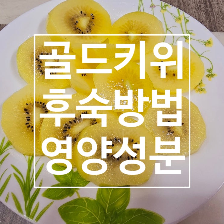  골드 키위 후숙방법 및 영양성분