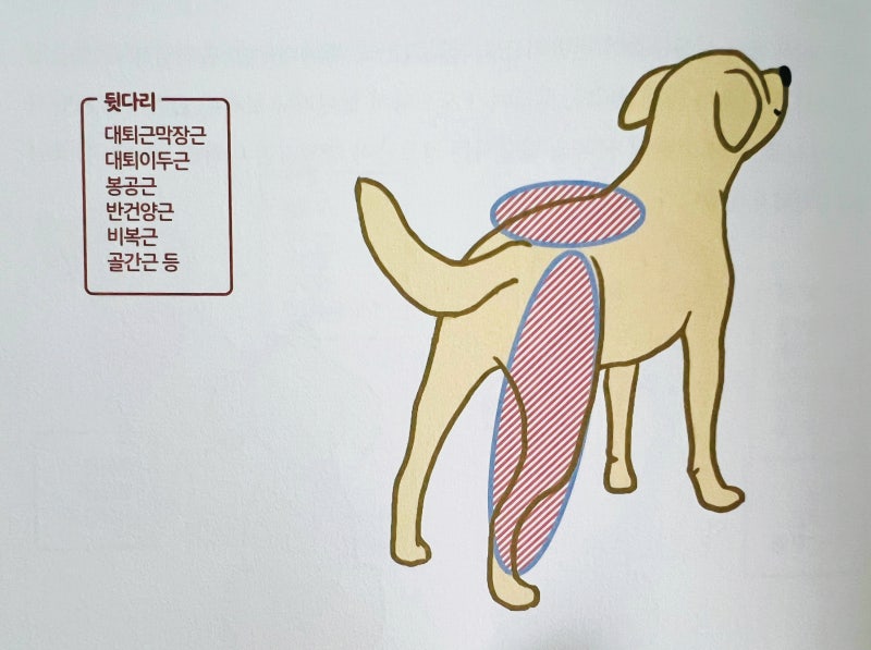 사진 5