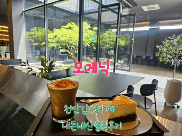  모게닉 천안감성카페 내돈내산솔직후기