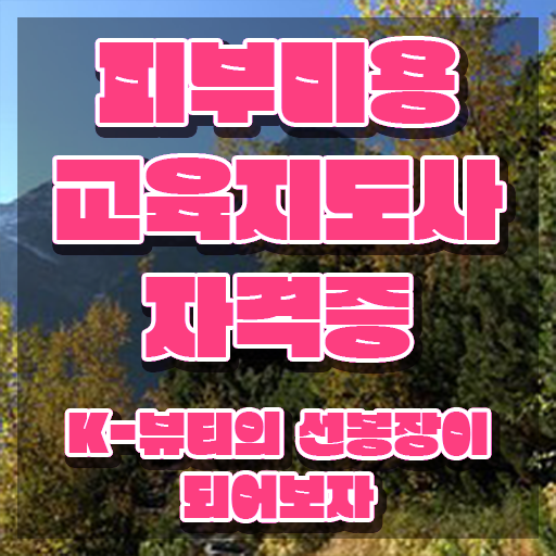  피부미용사 , 피부미용교육지도사 자격증 간단하게 학습한 후기 및 향후 전망