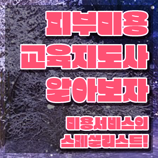  피부자격증 후기 , 피부미용교육지도사 자격증 쉽고 간편하게 합격한 팁 짚어드려요