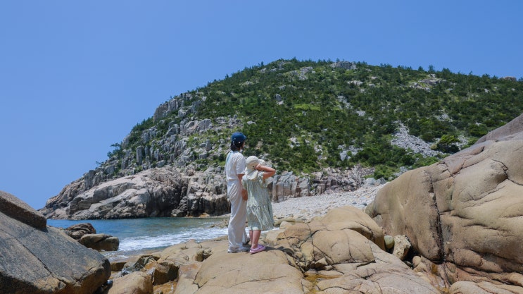  전남 청산도 1박2일 가족 여행코스 가볼만한곳,  반려견 동반, 차량선적 배표 시간