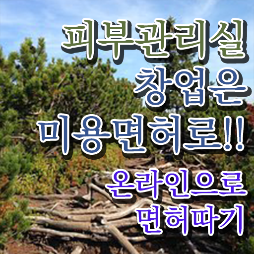  피부국가자격증 비용 , 피부관리 준비 할 때, 취득해야 하는 조건들은? 학은제로 미용사자격증 간단하게