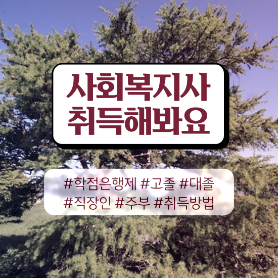  대구 사회복지실습 세미나 사회복지사2급 경력없어도 온라인 수업으로 간단하게