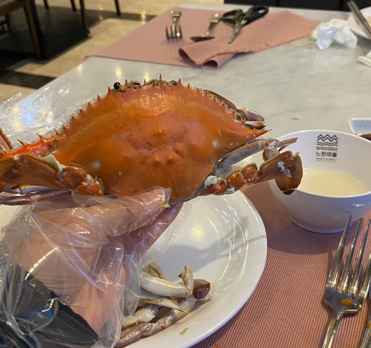  [공덕] 마키노차야 마포 내돈내산 솔직후기, 시간, 가격, 꽃게찜 나오는 시간, 막걸리, 생맥주 무제한