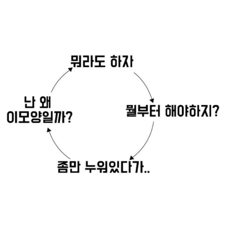  인프피는 인프피를 검색하지,, 왜냐면 맨날 까먹으니까 헿 (infp 짤 모음)