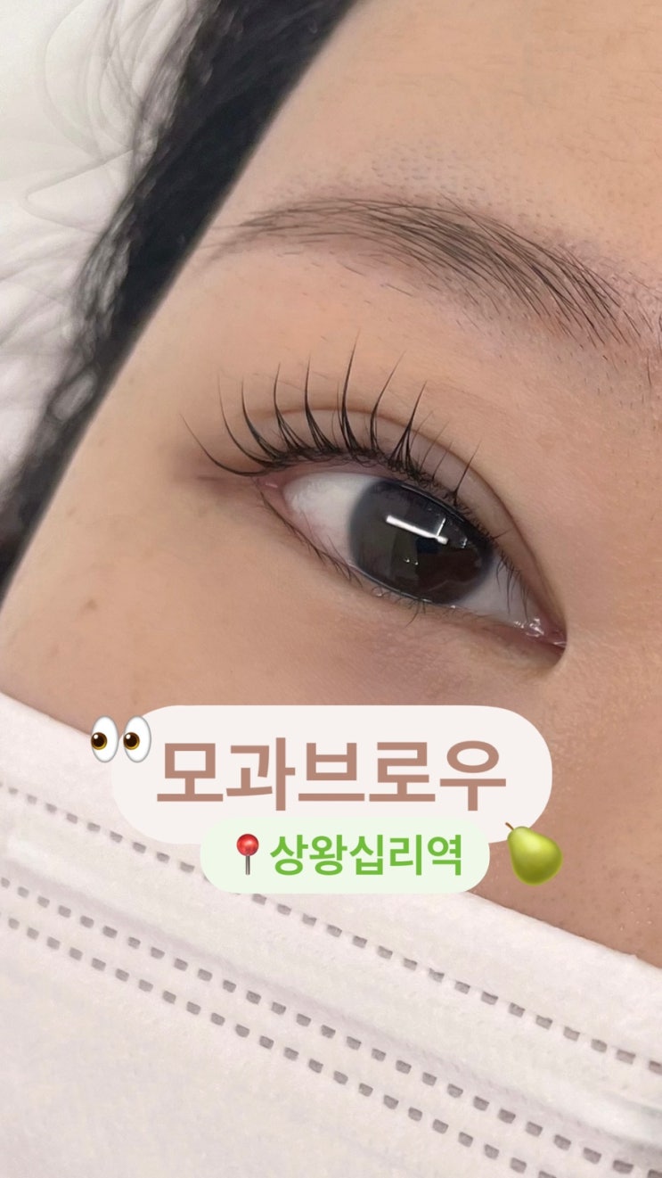  당일예약 가능한 왕십리 속눈썹 펌 모과브로우
