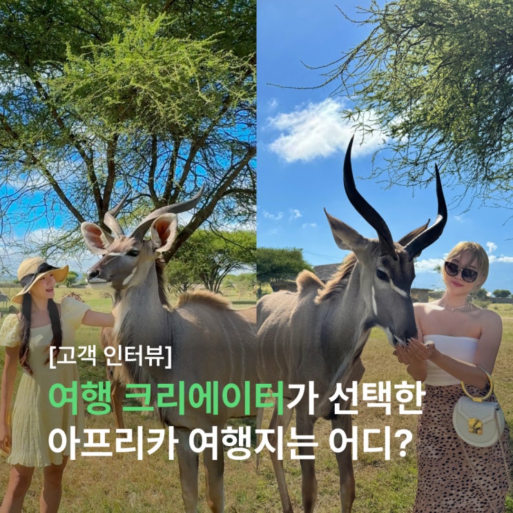  [고객 인터뷰] 여행 크리에이터가 들려주는 아프리카 여행 이야기 (탄자니아, 빅토리아 폭포, 보츠와나, 나미비아)