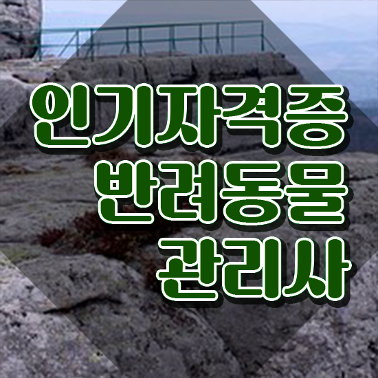 50대여성취업 , 반려동물관리사 자격증 취득한 과정 알려드립니다
