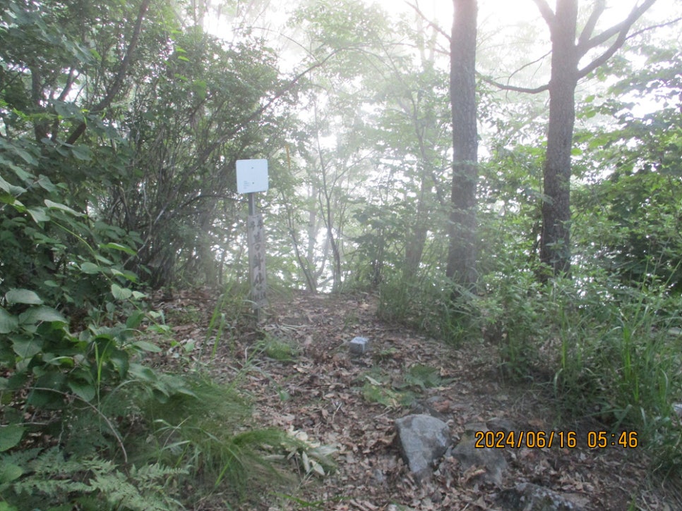 구리골산 사진 1