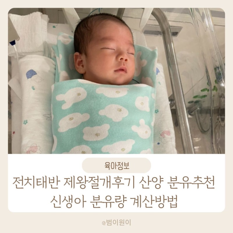 제왕절개 후 염소 분유 권장 분유 사용 방법 3