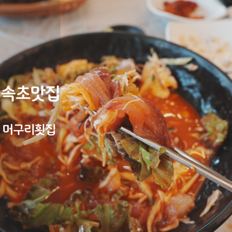  속초 대포항 횟집 머구리횟집 홍게찜 물회 맛집