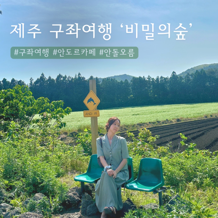  제주 구좌여행 | 안도르 카페 - 안돌오름 비밀의숲 