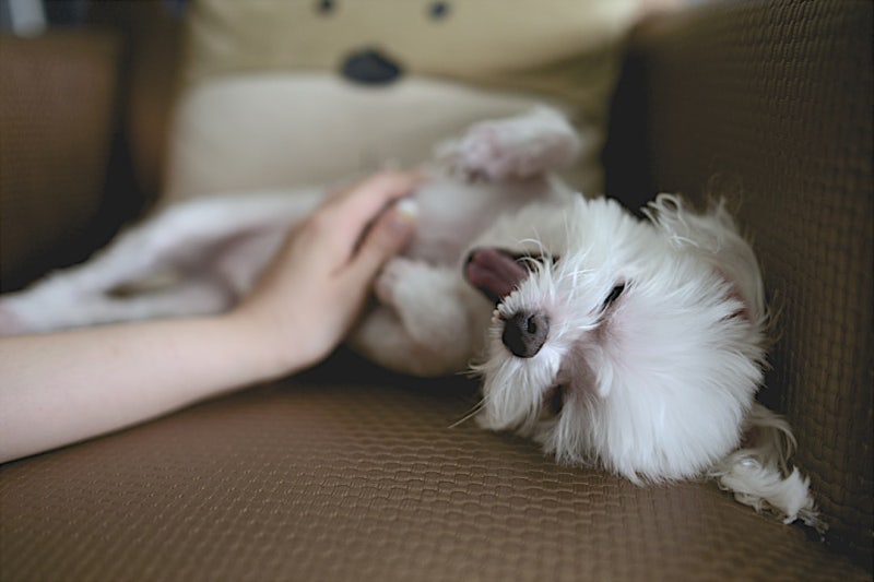 사진 4