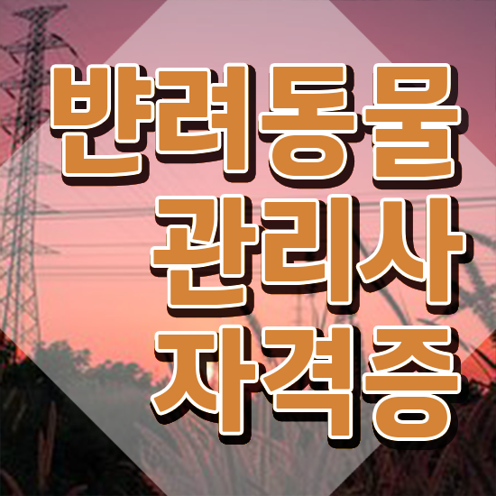  반려동물식품관리사 , 반려동물관리사 자격증 간단하게 준비한 방법 정리했어요