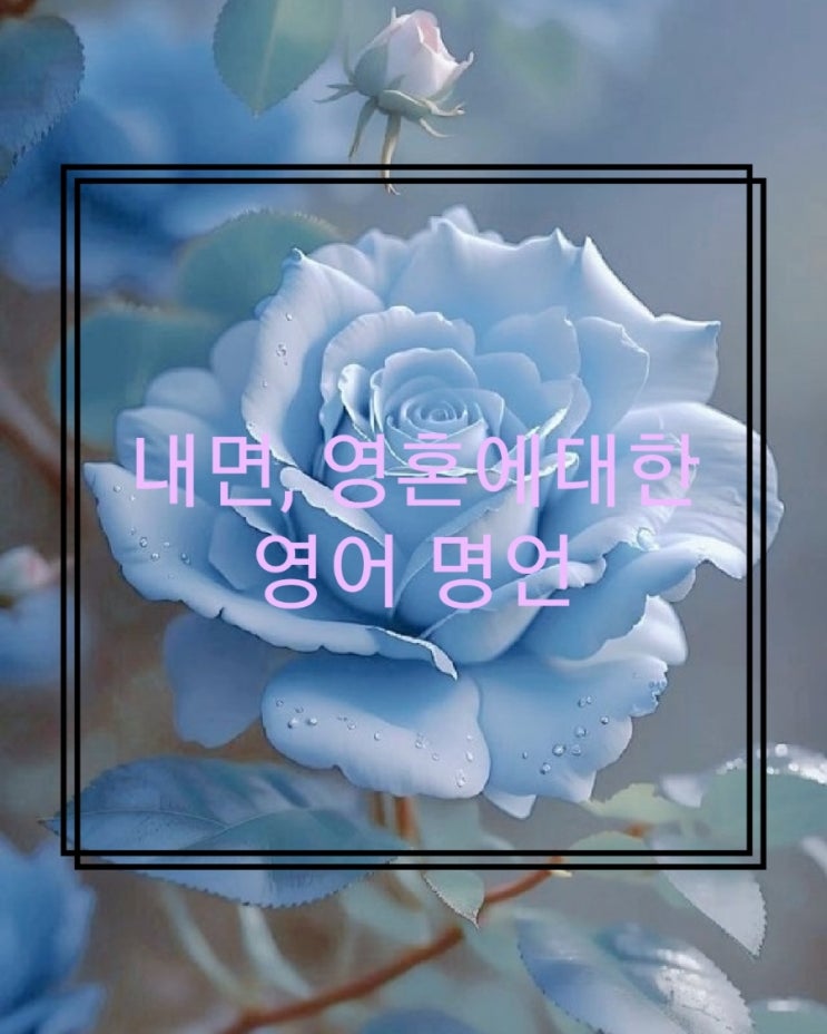  영어 명언 내면, 영혼, 평화에 대한