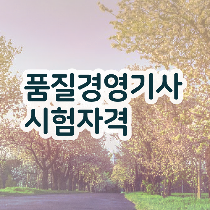  품질경영기사 품질경영기사 시험응시조건 온라인 과정으로 단기간에 준비한 전략