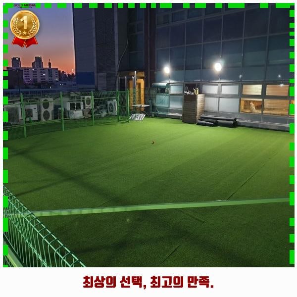 사진 5