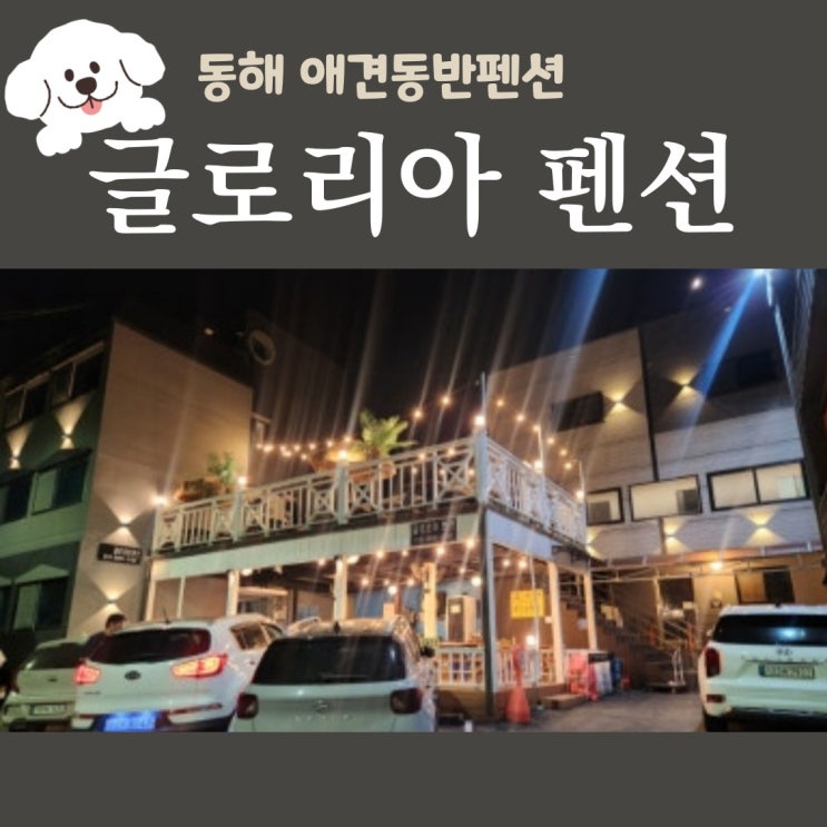  동해애견펜션 글로리아펜션 망상해수욕장 도보5분 자세한 리얼후기