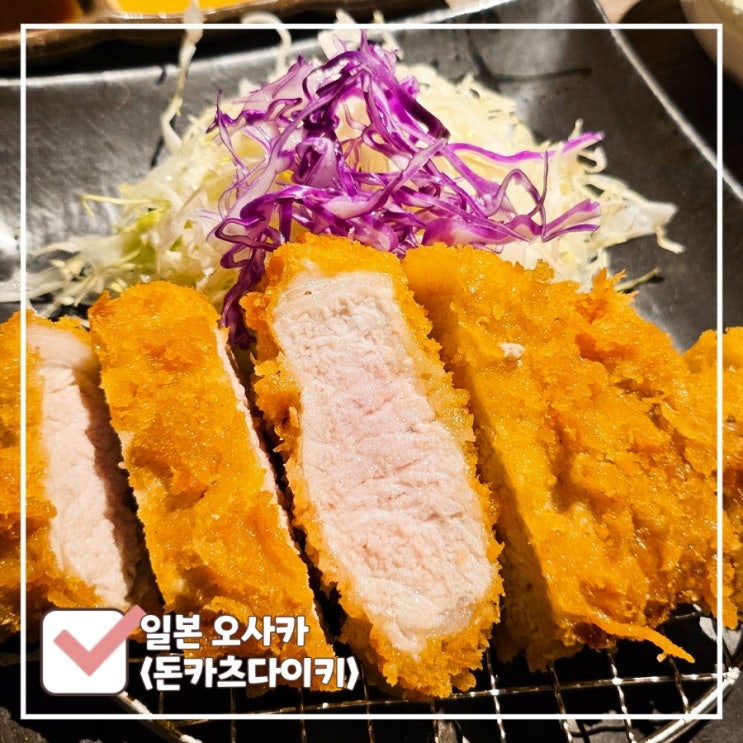  도톤보리 돈까스 I 미슐랭 선정 '돈카츠다이키' 오픈런 후기
