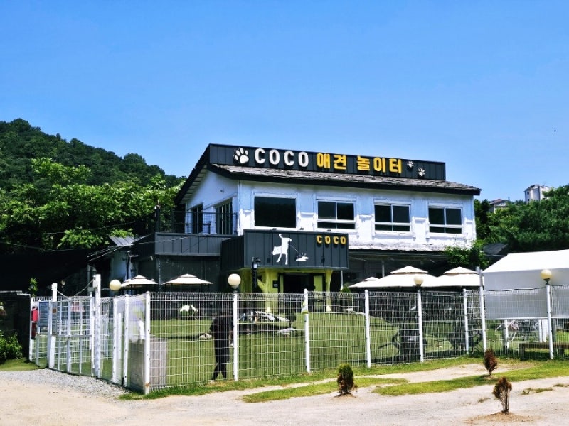 사진 3