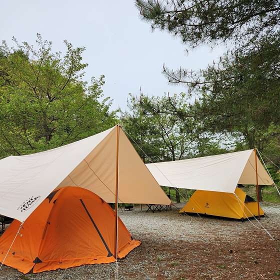 캠핑코리아 애견캠핑글램핑