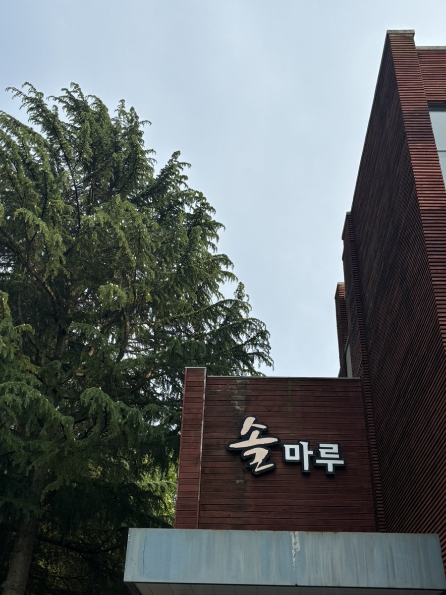 조선대학교 솔마루 사진 1