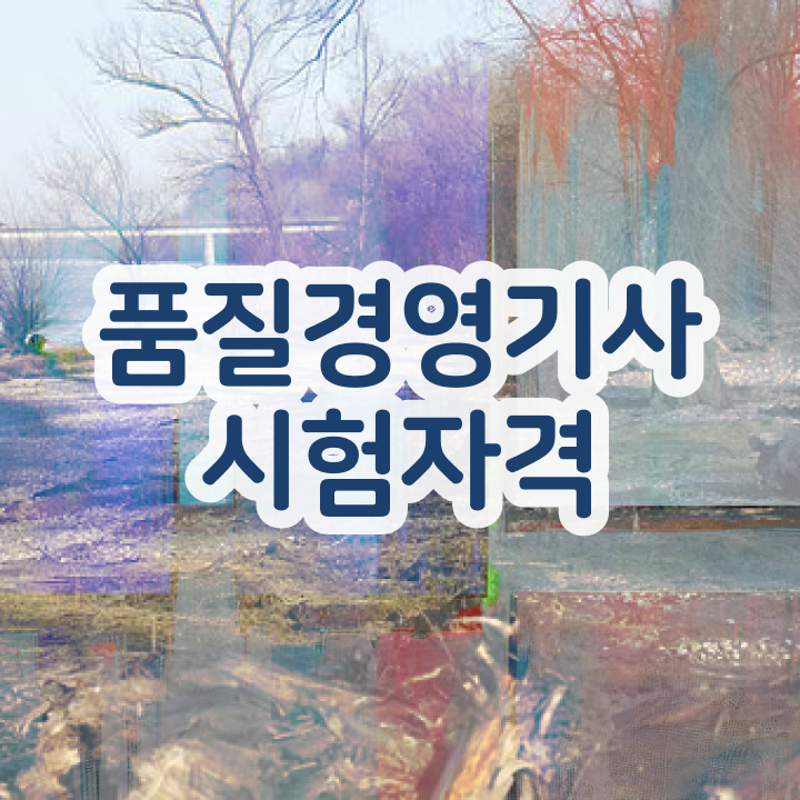  품질경영기사 품질경영기사 시험자격 인강으로 5개월 만에 준비한 노하우