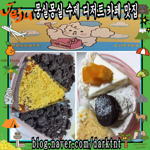 미니정원 있는 애견동반 제주 아라동 카페 뭉실몽실 케이크 주문 가능