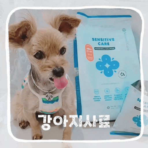  반려견사료 댕댕이 밥 안먹을때 기호성 좋은 강아지 피부사료