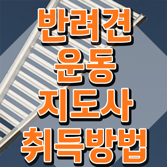  경단녀 재취업 , 반려견운동지도사 취득한 과정 , 합격률과 난이도
