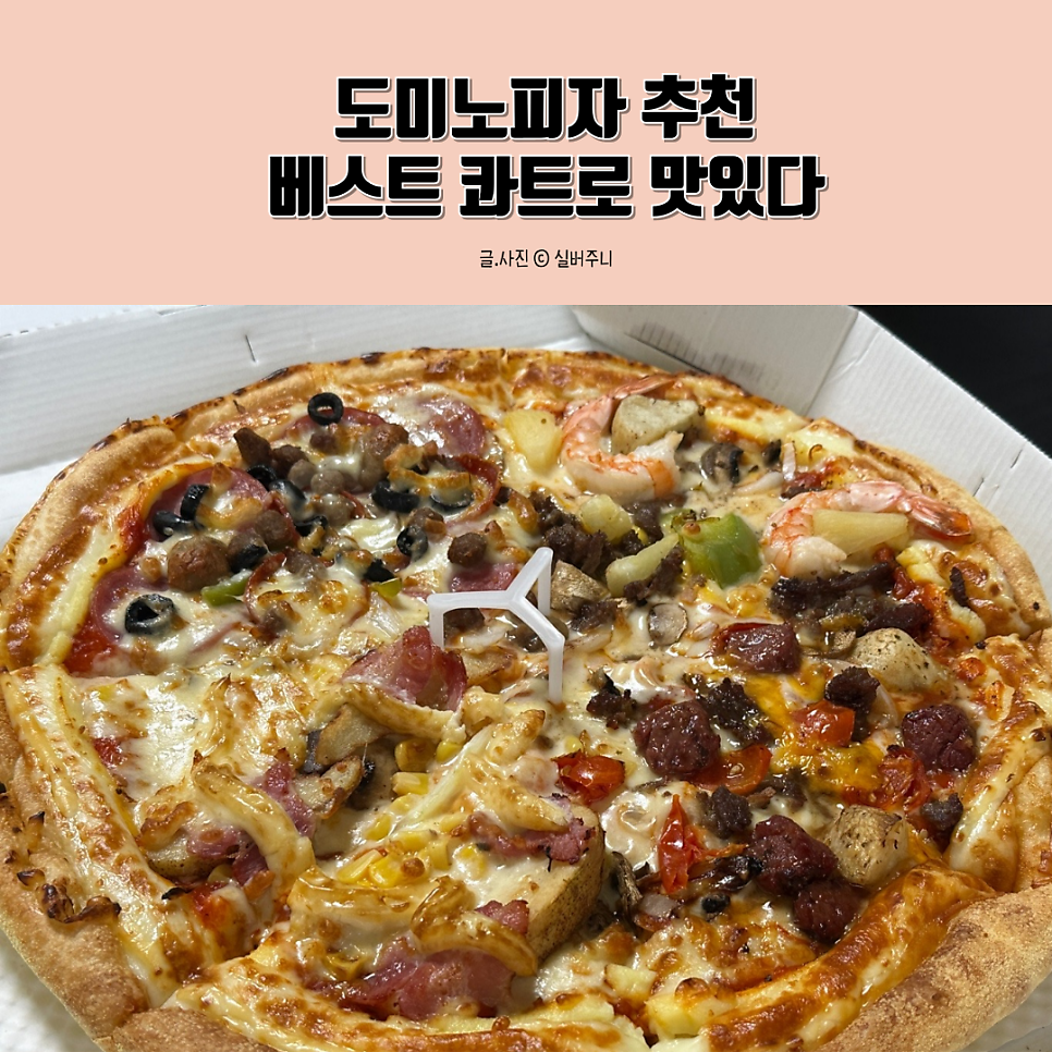 도미노피자 가오점 사진 1